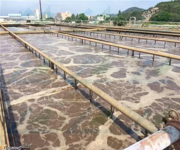 制革废水处理案例